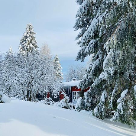 Baude Steinheid Am Rennsteig Mit 12 Betten 外观 照片