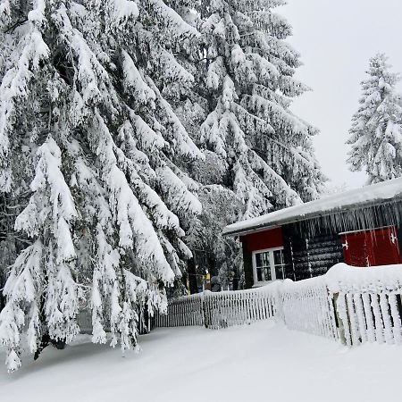 Baude Steinheid Am Rennsteig Mit 12 Betten 外观 照片